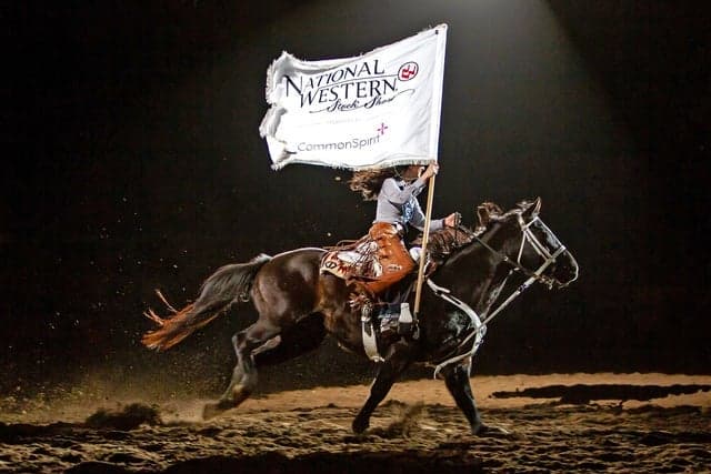 Pro Rodeo - Thur. Jan. 22 7pm at Denver Coliseum in Denver