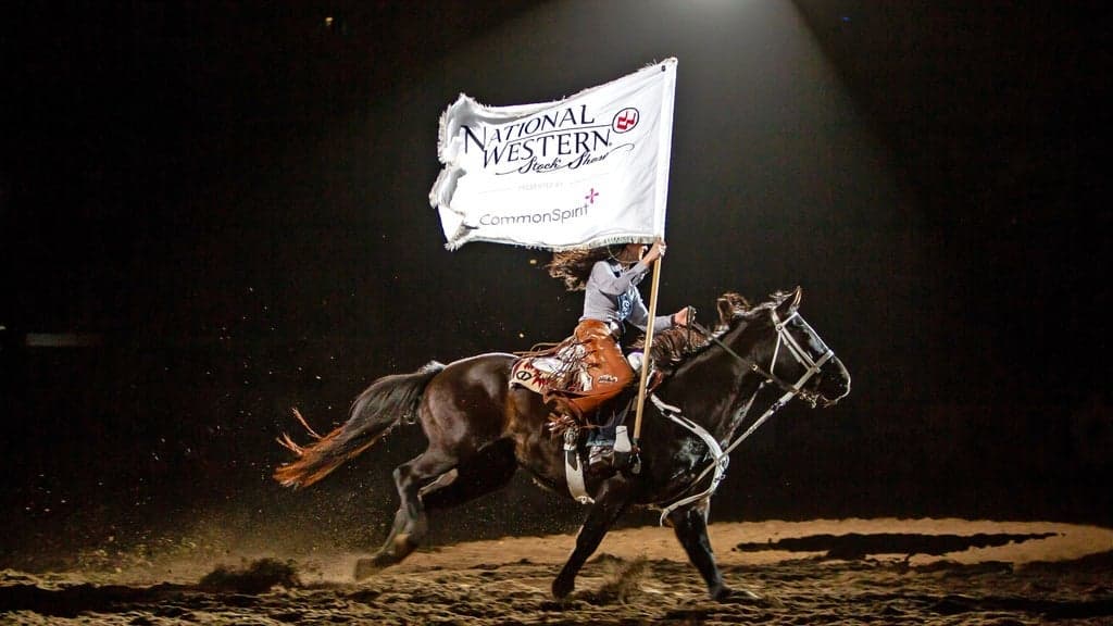 Dancing Horses - Sat. Jan. 24 7pm at NW Events Center/Cinch Arena in Denver